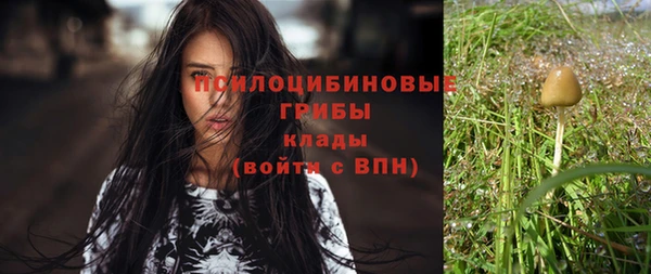Альфа ПВП Липки