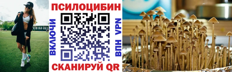 Псилоцибиновые грибы Psilocybe  Купить закладки  Наволоки 